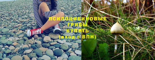 крисы Бугульма