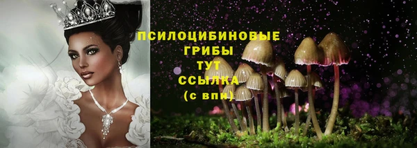 jwh Бронницы