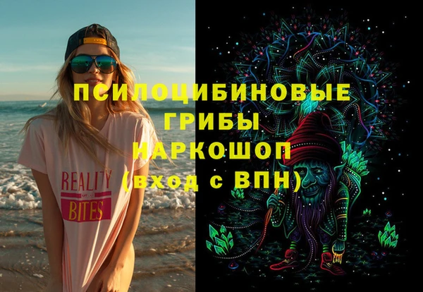 крисы Бугульма