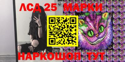 гидра Кандалакша