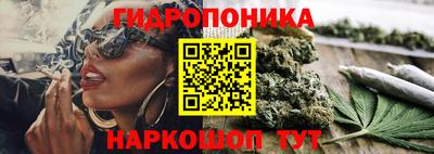 не бодяженный Камышлов