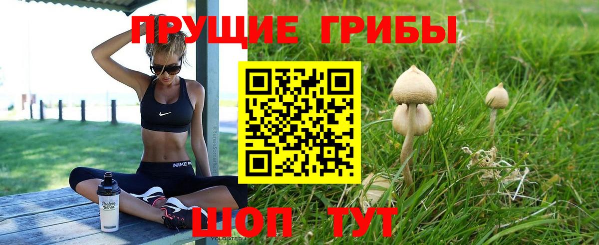 Кувандык  Псилоцибиновые грибы Psilocybe  Псилоцибиновые грибы прущие грибы  Вход с VPN 
